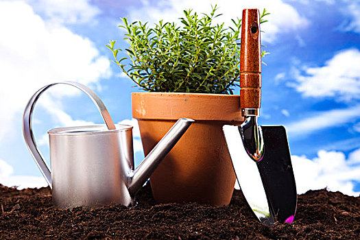 dự đoán thần tài miền nam