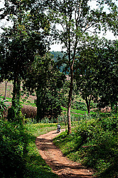 soi cầu miễn phí 888