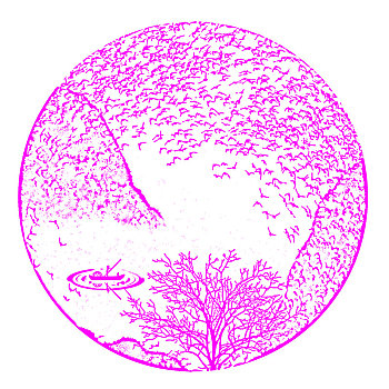 bạch thủ xsmb hôm nay