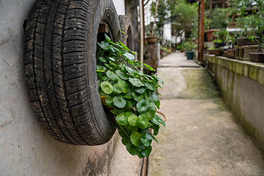 số an giang