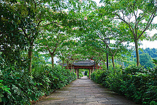 bạch thủ lô kép khung 2 ngày