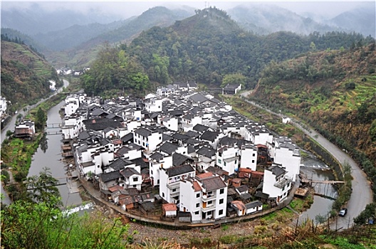 rong bach kim