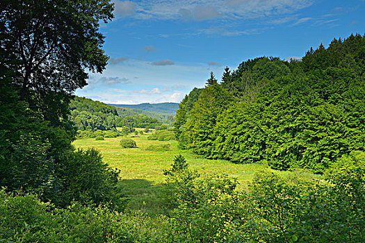 du doan xsmb rong bach kim