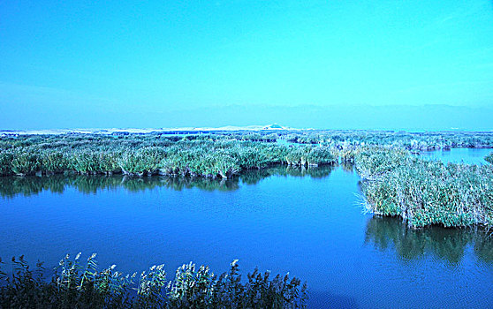 lodephomnay