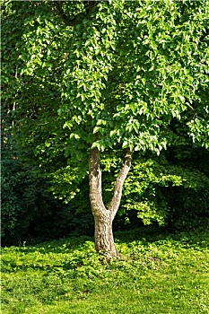xổ số kiến thiết thành phố