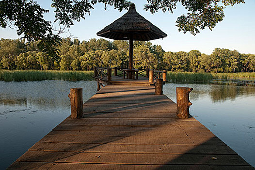 đề miền bắc
