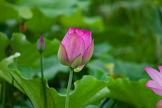 kqxs binh thuan