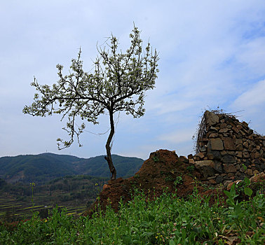 cách đánh lô miền nam